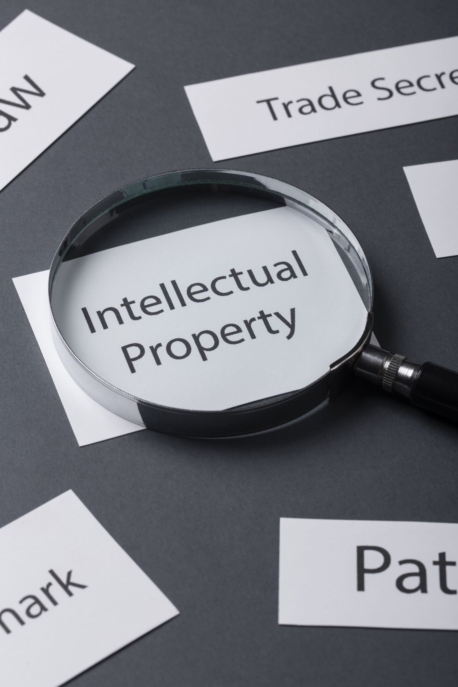 Intellectual Property _ Brand Protection